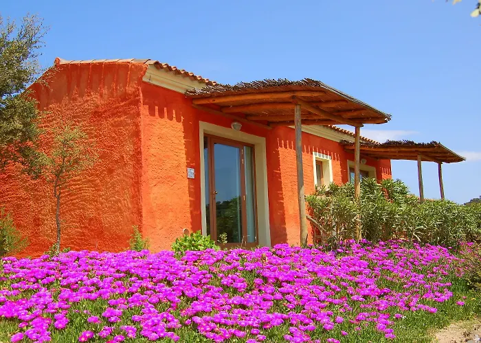 Aldiola Country 4*